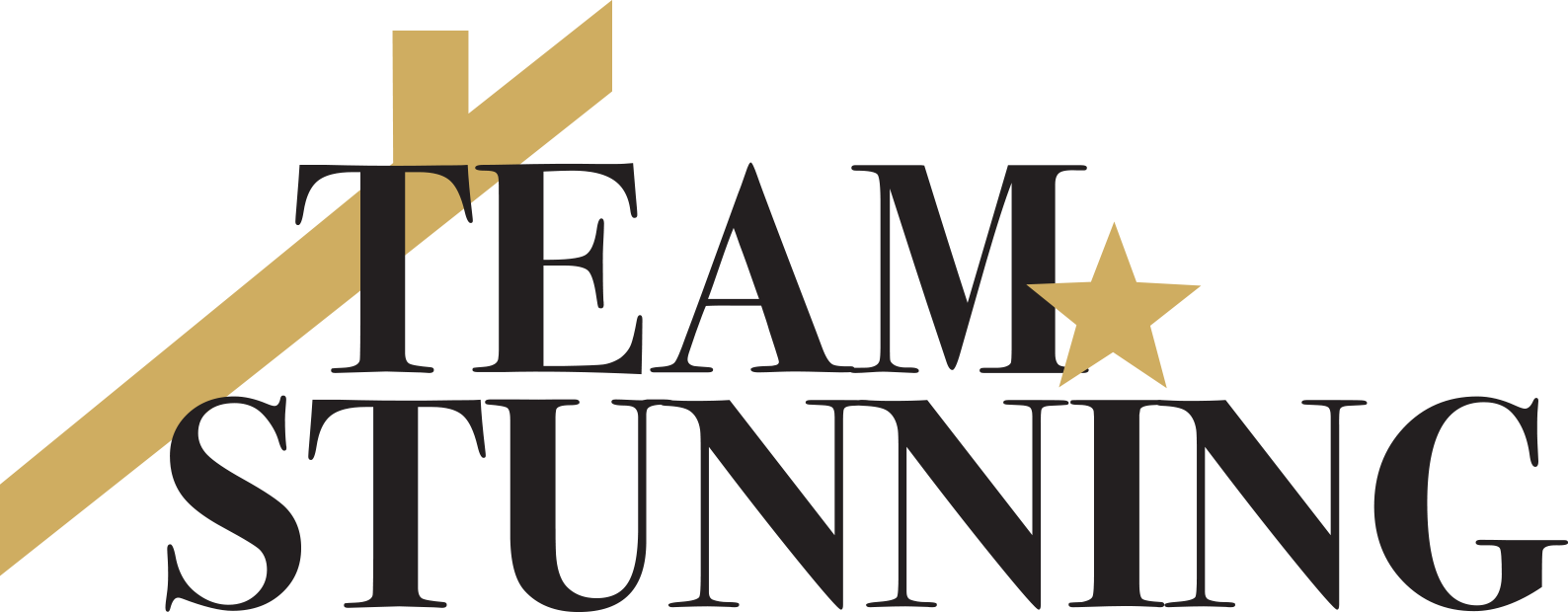 TEAMStunning logo.png
