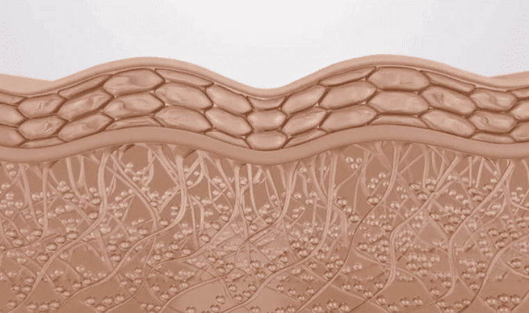 스크린샷 2026-02-11 203231.png