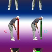 골프레슨 GOLF LESSONS 퍼팅 PUTTING 라하브라 브레아 오렌지 카운티 플러튼