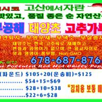 맛있기로 소문난 무공해 태양초 고추가루!