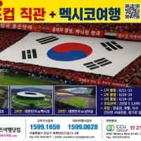 2026 북미 월드컵 멕시코 원정 응원단 모집 (김흥국 응원단장 동행) 관심글